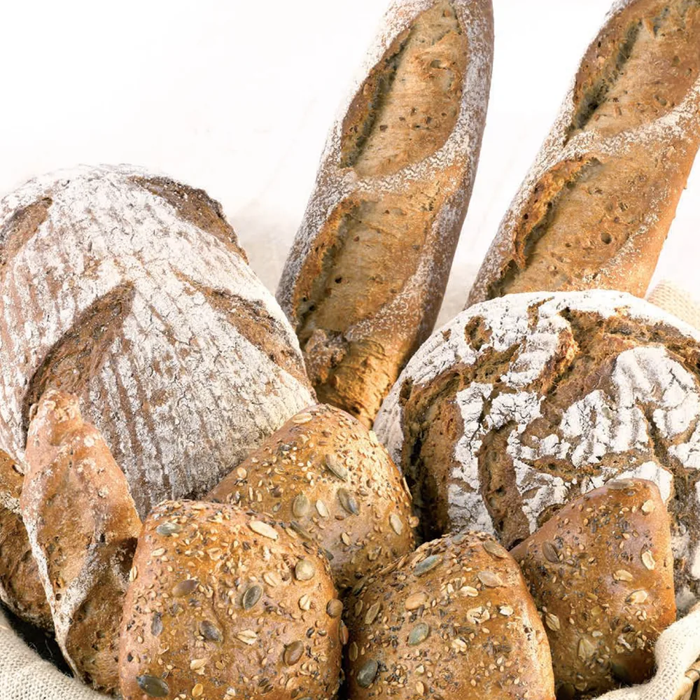 Protein + (Sporcu Ekmeği) — Bread Arts